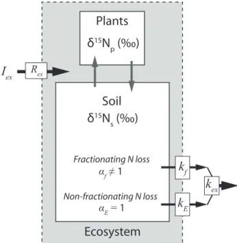 Fig. 1. Controls on the bulk δ 15 N of a forest ecosystem with exter- exter-nal N input and output (black arrows) and interexter-nal N cycling (grey arrows)