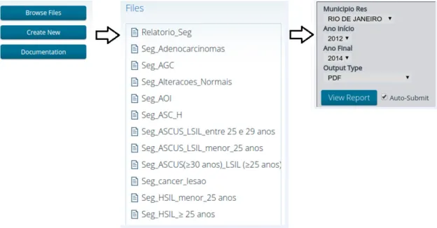 Figure 3. Steps to access and visualize a pre-defined report. A list of pre-defined reports is presented after clicking on the “Browse Files” button