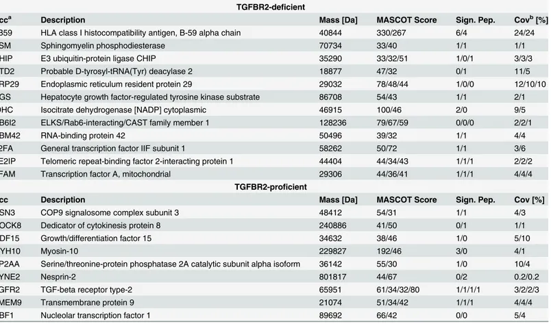 Table 2. Differentially expressed and de novo synthesized proteins in HCT116-TGFBR2 clones #5 and #22 using mass spectrometry.