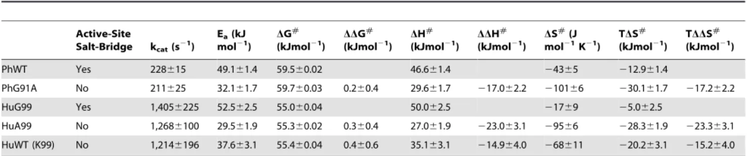 Table 1. Kinetics parameters of acylphosphatases with and without the active-site salt-bridge.