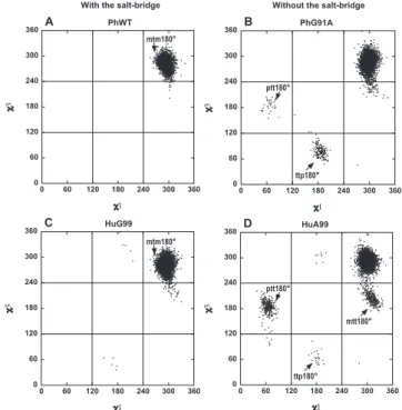 Figure 5. The active-site arginine residue of acylphosphatase adopts the mtm180 6 rotamer conformation for catalysis