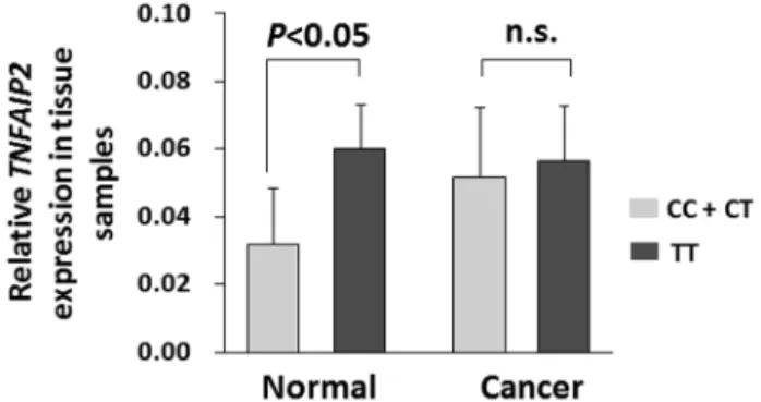 Figure 1. TNFAIP2 mRNA expression (mean ±SD) in normal and cancerous esophagus tissues grouped by TNFAIP2 rs8126 T.C genotypes