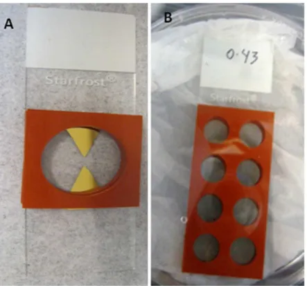 Figure 2) to enable silver adhesion, as described previously [33,34].