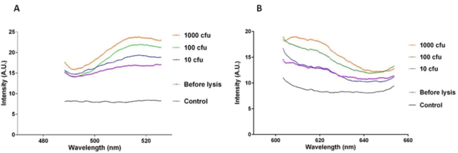 Figure S1 Detection of various concentrations of syn- syn-thetic oligonucleotide in TE buffer by MAMEF
