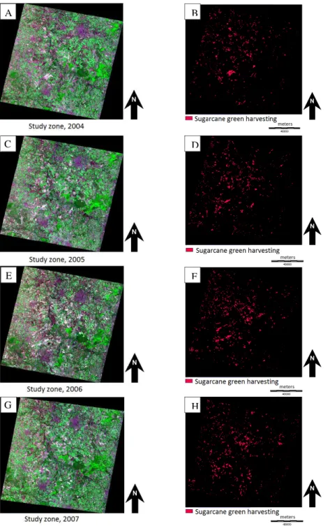 Figure 3. False color images (3R4G2B), captured in 2004 (A), 2005 (C), 2006 (E) and 2007 (G) and classiications for the  same years: B, D, F and H, respectively.