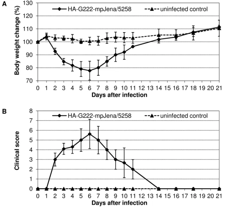 Figure S1 Body weight change of individual mpJena/