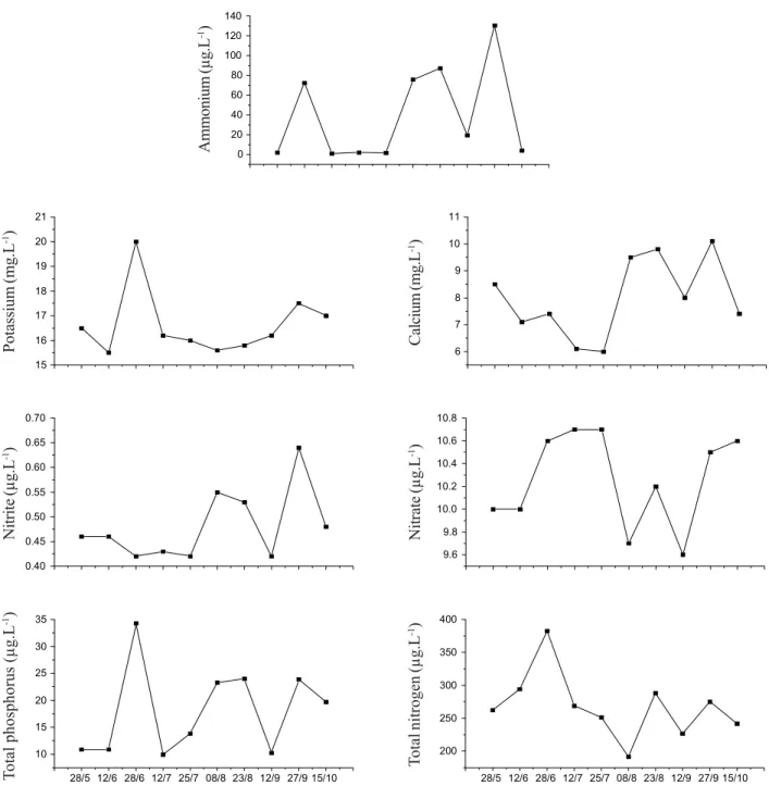 Figure 3. Temporal variation of nutrients in Talhadinho Stream throughout the study period.