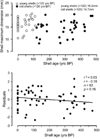 Figure 3. Shell size as a function of age. Top, Length of maximum shell dimension (in mm) versus measured shell age