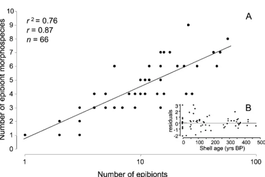 Figure 5. Relationship between epibiont abundance and diversity. A, Normal log plot of the number of epibiont taxa versus number of epibionts for individual valves