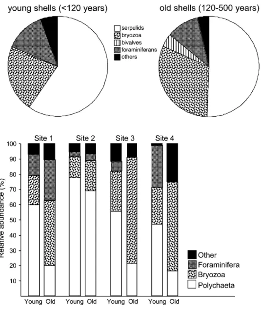 Figure 6. Relative abundance of epibiont taxa. Consistent differences are found between the epibiont faunas of young (0–120 yr) and old (120–500 yr) hosts at all sites studied