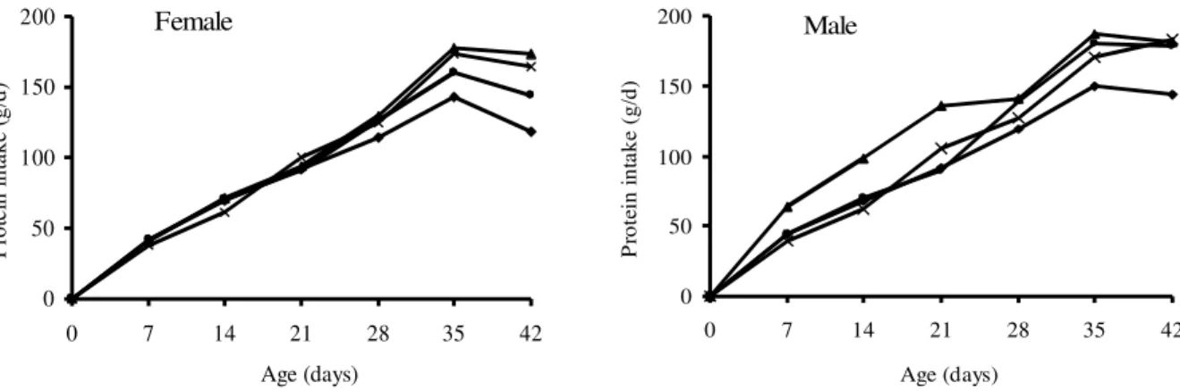 Figure 1. Protein Intake in the Males and Females given Four Dietary Regimens. Female: −♦−: L-120; 