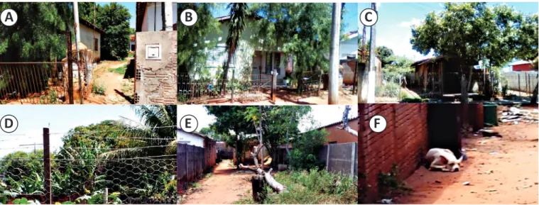 FIGURE 5 - Representative photos of houses corresponding to the spatial and spatio-temporal clusters, Birigui, State of São Paulo,  Brazil