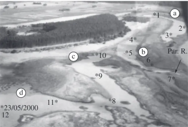 Figure 2. Aerial photography of the four fragments (a to d)  of  Coqueiral  Lake  and  location  of  sampling  sites  in  each  fragment (the arrow shows the connection site with the  Para-napanema (R