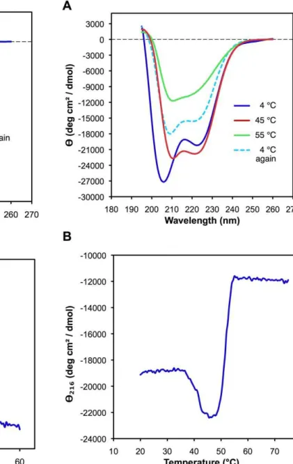 Figure 5. Far-UV CD analysis of r EPclA after purification by SEC. (A) CD spectra at 4uC, 45uC, 55uC and 4uC after immediately cooling back the sample (see text)
