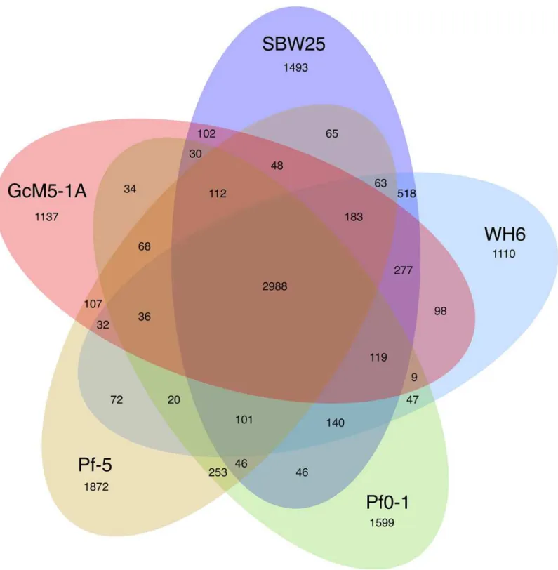 Fig 2. Shared and unique genes in each of the sequenced P. fluorescens isolates.