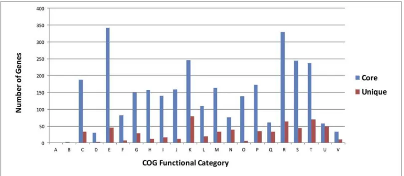 Fig 3. Functional classification of core and unique genes of GcM5-1A. A: RNA processing and modification; B: Chromatin structure and dynamics; C: