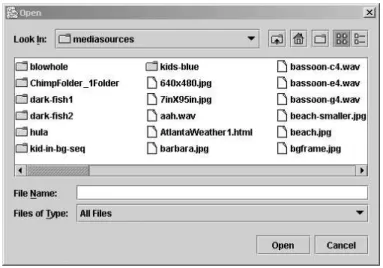 FIGURE 3.12: The File Chooser