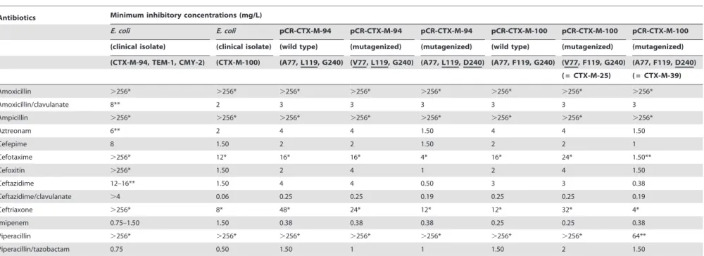 Table 1. MICs of b-lactams of the CTX-M-94- and -100-producing E. coli, E. coli TOP10 transformed with wild-type pCR-CTX-M-94 and -100 and mutagenized pCR-CTX-M-94 and - -100.