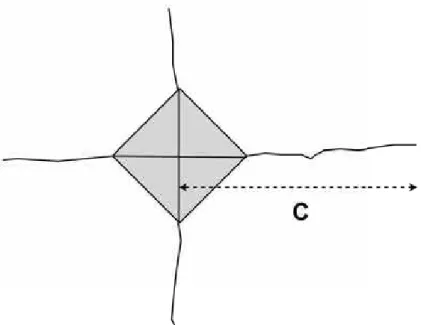 FIGURA 6 – Desenho esquematico da identação, evidenciando a maior  extensão de trinca