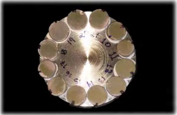 FIGURA 7 – Amostras cerâmicas posicionadas no stub e cobertas com ouro. 
