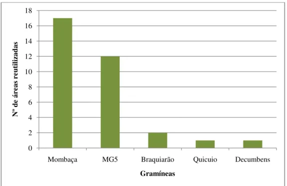 Figura 10: Espécies de gramíneas mais encontradas nas áreas de pasto reutlizado. 
