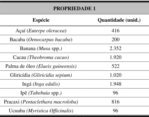Tabela 1. Espécies botânicas implantadas na propriedade 1  PROPRIEDADE 1 