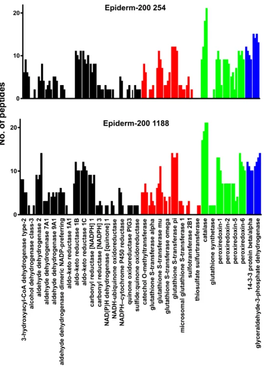 Figure 3. Stability of Epiderm-200 XME expression profiles in culture. Epiderm-200 cultures were derived from either donor 254 or 1188 and were maintained for up to 3 days