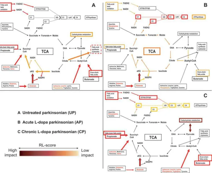 Figure 5. Visualization of DEPPS results in energy metabolism pathways. DEPPS effects are divided into three parts