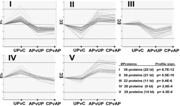 Figure 2. The five most significant STEM profiles for protein expression, their significance (rank I–V) and number of proteins identified in each profile
