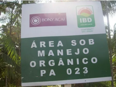 Foto 04: Placa fixada na área da ilha com plantios da empresa Bony. 