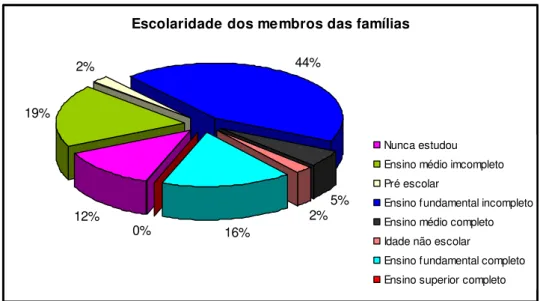 Gráfico 4: Escolaridade dos membros das famílias estudadas   Fonte: Pesquisa de campo, 2010