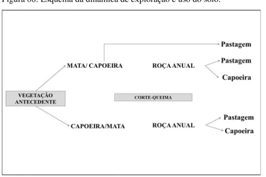 Figura 08: Esquema da dinâmica de exploração e uso do solo. 