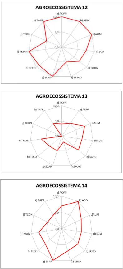 Figura 18: Representação gráfica da sustentabilidade dos agroecossistemas 10, 11, 12, 13 e  14