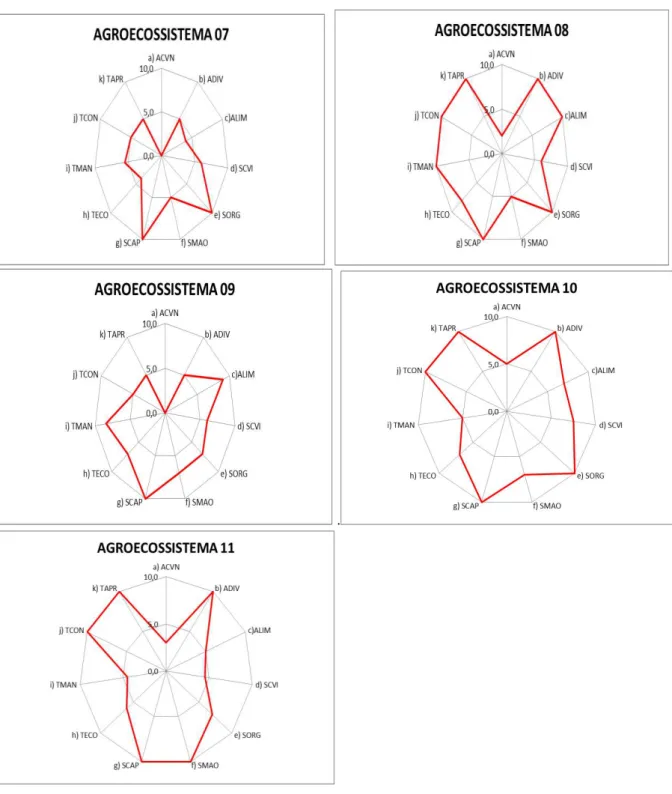Figura 20: Representação gráfica da sustentabilidade dos agroecossistemas 07, 08, 09, 10 e  11
