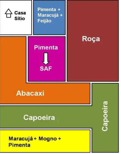 Figura 6 –  Croqui esquemático da área 3 (SAF 2), com detalhamento para localização do SAF e da floresta  secundária estudados
