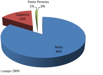 Figura 1  –  Distribuição da cobertura vegetal inicial do assentamento Cedrinho 
