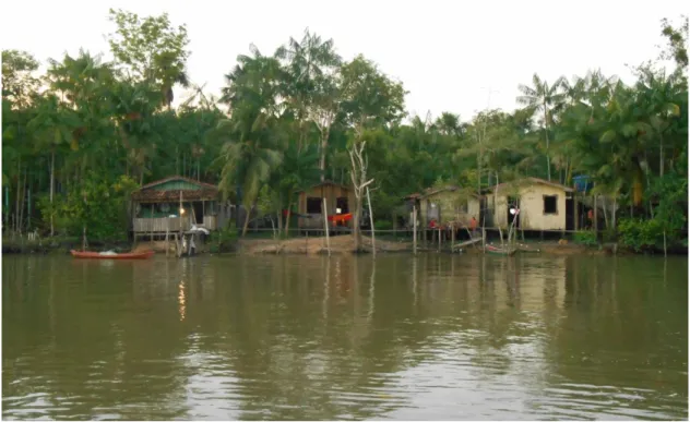 Figura 3. Casas ribeirinhas na comunidade Santa Maria de Sirituba. 