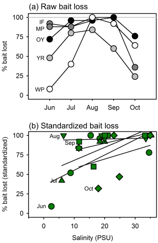 Fig 7. Variation in predation (loss of squid baits) in salt marsh habitat across seasons along a salinity gradient from near freshwater at the head of the York River (West Point, WP) to the ocean margin at Oyster (OY), Virginia, USA, deployed monthly from 