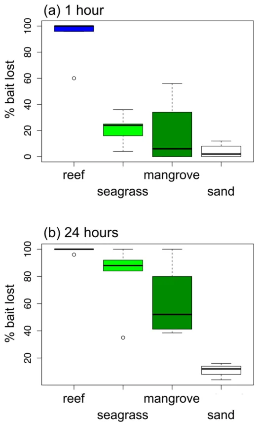 Fig 2. Variation in predation (loss of squid baits) across habitats on the Belize Barrier Reef after (a) one hour and (b) 24 hours