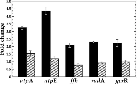 Fig. 6. VicK has a significant impact on transcription of known ATR-related genes in S