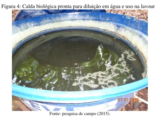 Figura 4: Calda biológica pronta para diluição em água e uso na lavoura. 