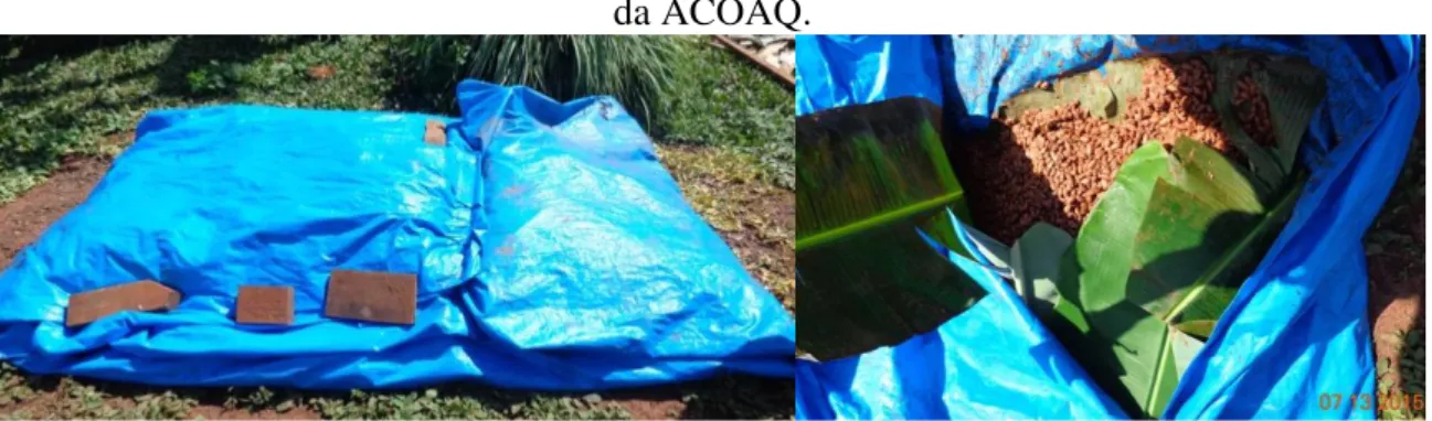 Figura 9: Fermentação da amêndoa de cacau em lona com folha de bananeira para produção  da ACOAQ