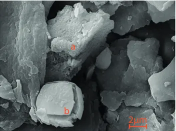 Fig. 4. SEM photos of bulk sediment from 137 cm depth in core Co1260 showing endogenic calcite (CaCO 3 , a) and pyrite (FeS 2 , b)