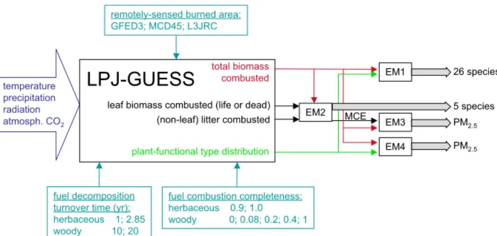 Fig. 1. Flow of information used for the sensitivity analysis (thin arrows) between different models (black rectangles)