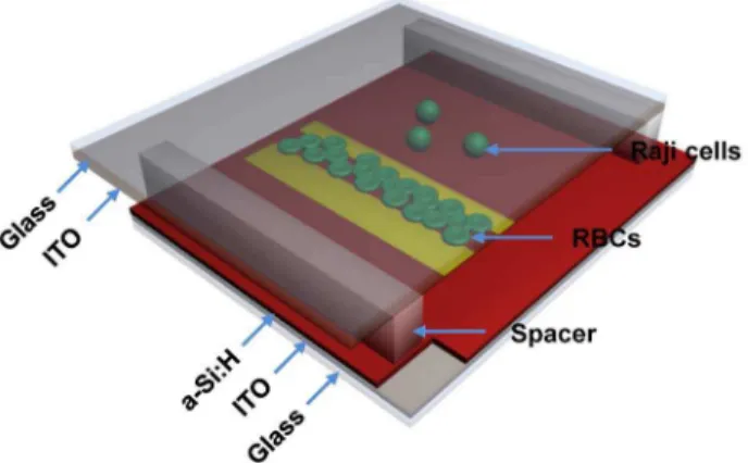 Figure 1 is a diagrammatic sketch of our OEK chip, which consists of a top glass substrate coated with a transparent and conductive indium tin oxide (ITO) film that is used as an electrode;