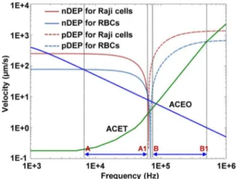 Figure 5. Contribution of various optically-induced electroki- electroki-netics forces on the velocities for Raji cells and RBCs as a function of the applied frequency