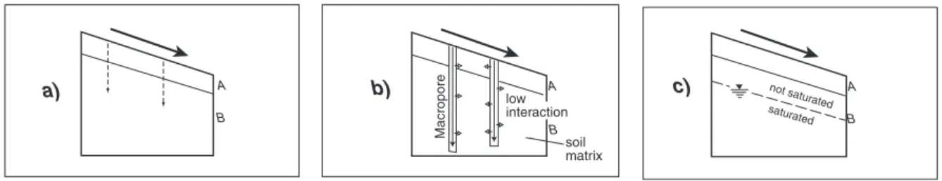 Fig. 8. Typical processes observed on the 18 investigated plots.