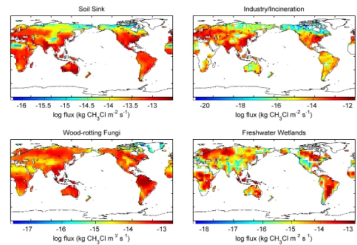 Fig. 3. Annual average distributions of reference CH 3 Cl emissions.