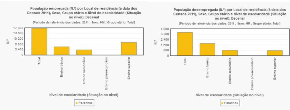 Gráfico 13                                                                              Gráfico 14 
