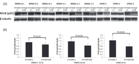 Fig 2. The effects of pretreatment with fingolimod-phosphate on BMECs in the presence of MS sera.